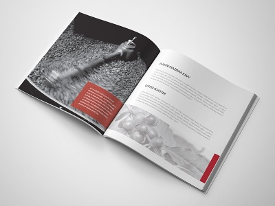 GRAFIKA 18
